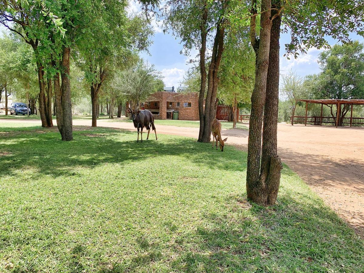 Tshikwalo Game Lodge Klipdrift Zewnętrze zdjęcie